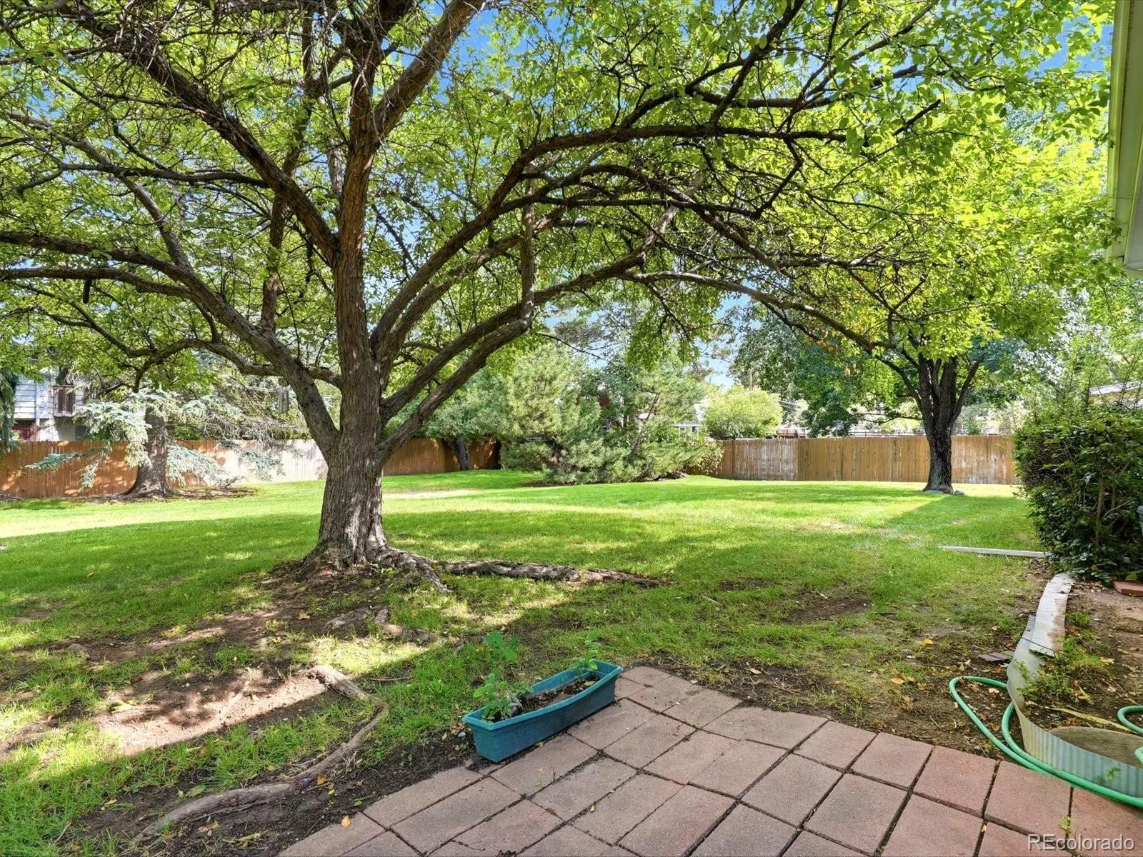 3380 Garrison Street Wheat Ridge CO 80033 | MLS #REC7882481 09032026174919 1600 42