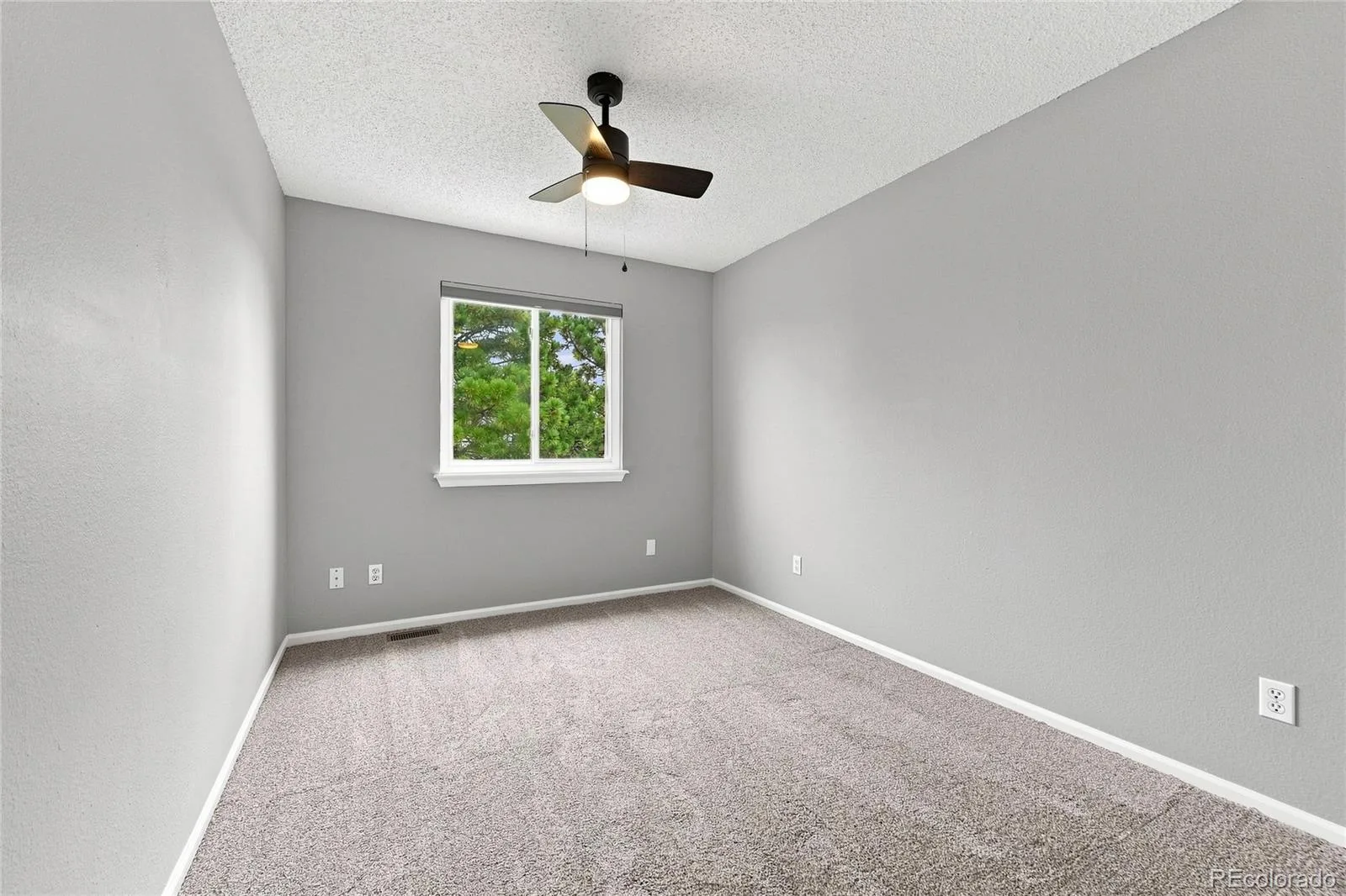 4506 N Wildflowers Way Castle Rock CO 80109 | MLS #REC7884345 08302026073325 1600 16