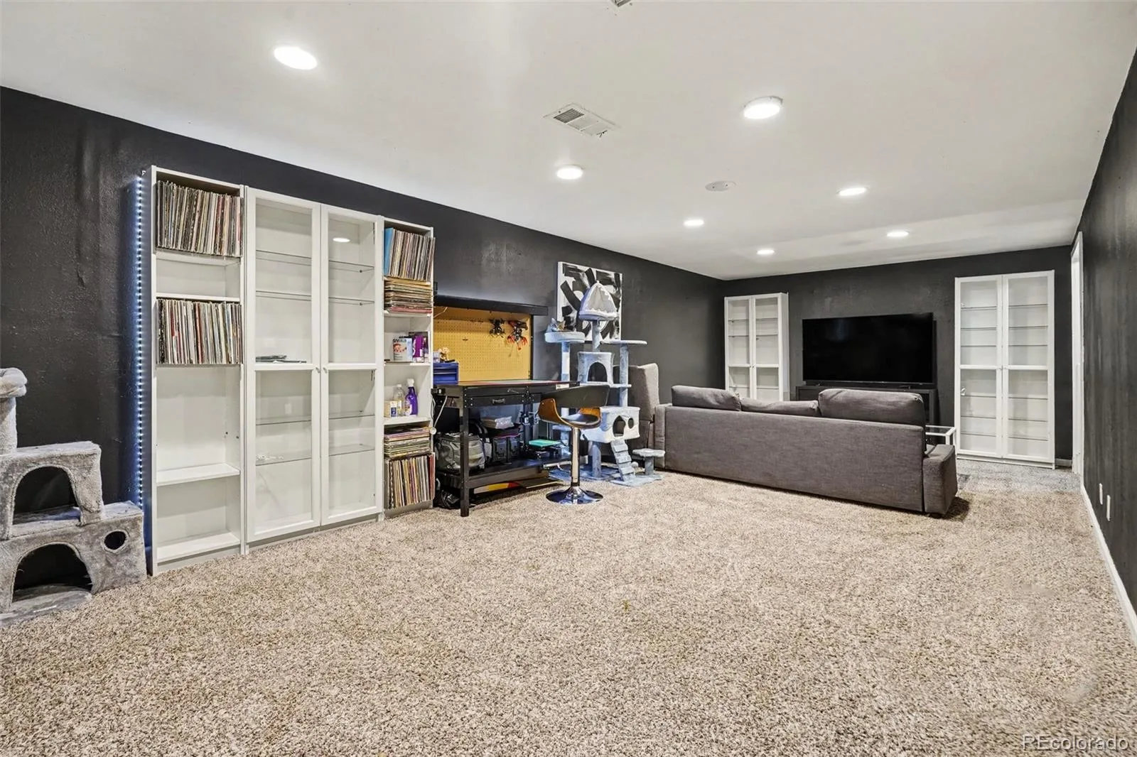 7232 S Sherman Street Centennial CO 80122 | MLS #REC7896881 10092026190454 1600 21