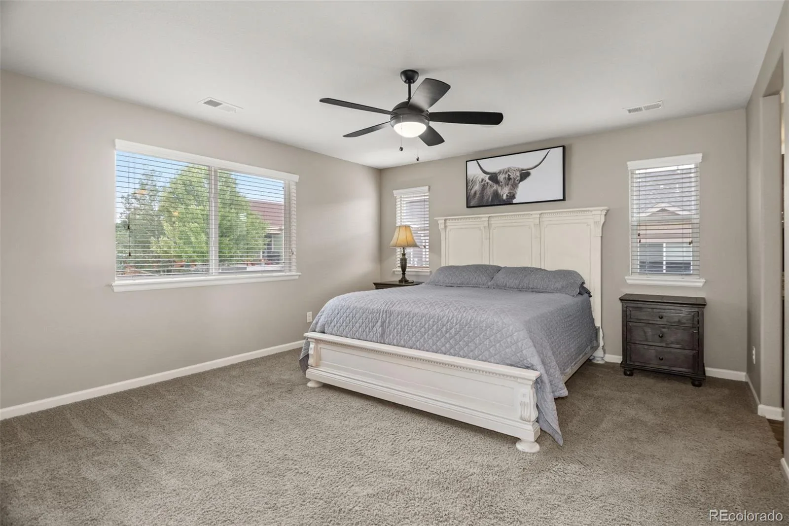 7159 Oasis Drive Castle Rock CO 80108 | MLS #REC7897314 08132026212806 1600 24