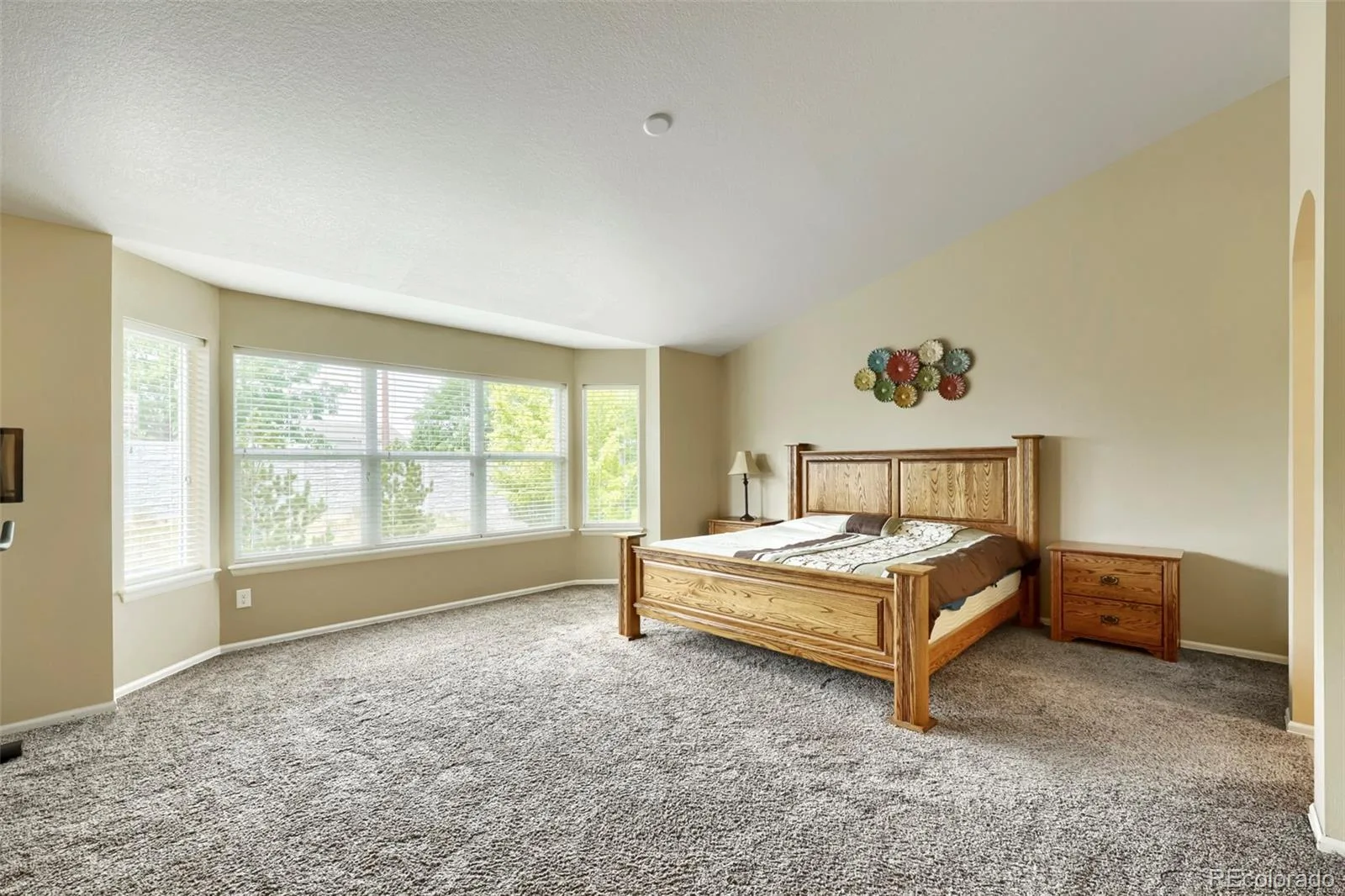 12257 Pine Post Drive Parker CO 80138 | MLS #REC7906769 07092026232511 1600 14