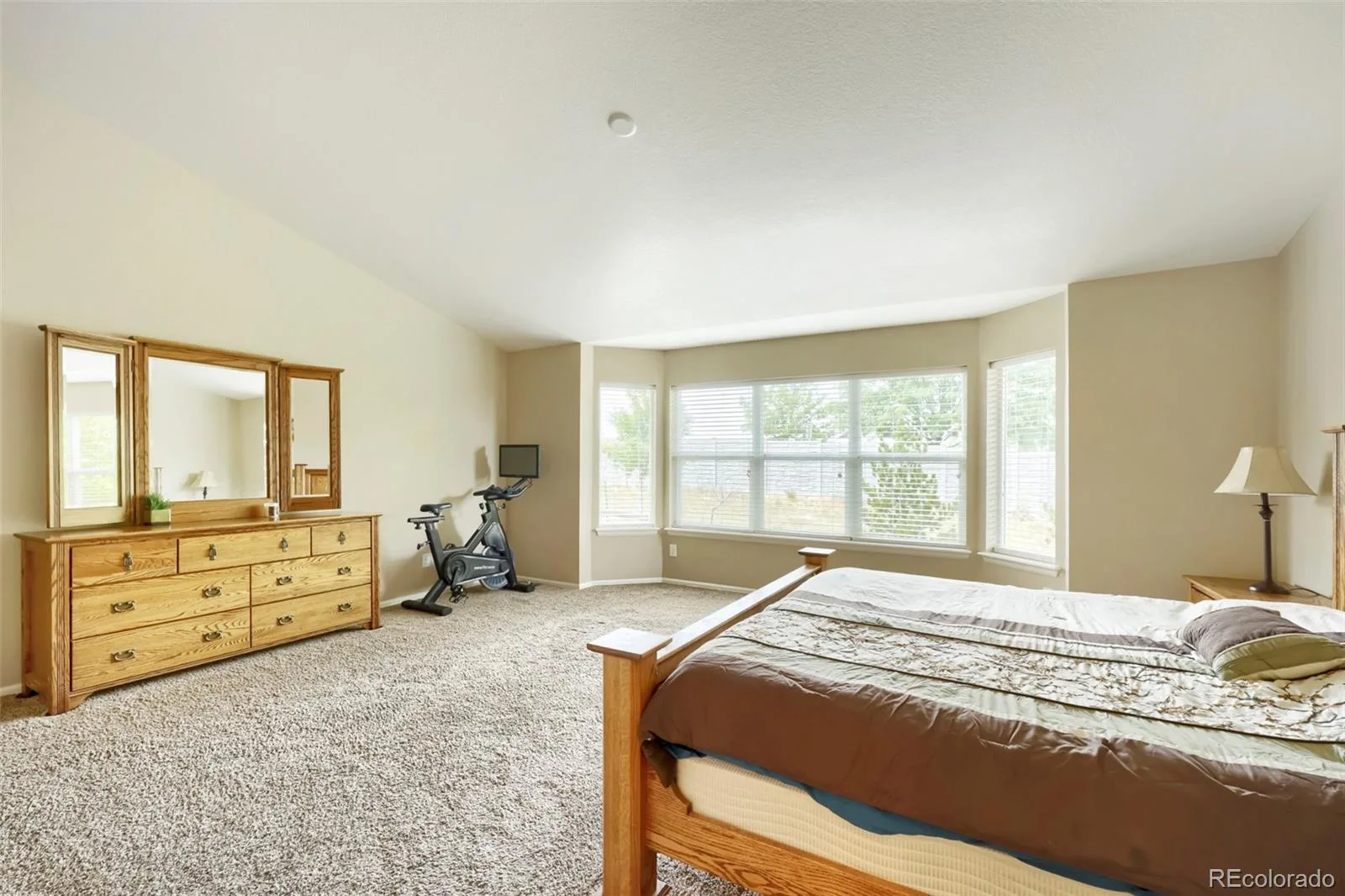 12257 Pine Post Drive Parker CO 80138 | MLS #REC7906769 07092026232511 1600 19