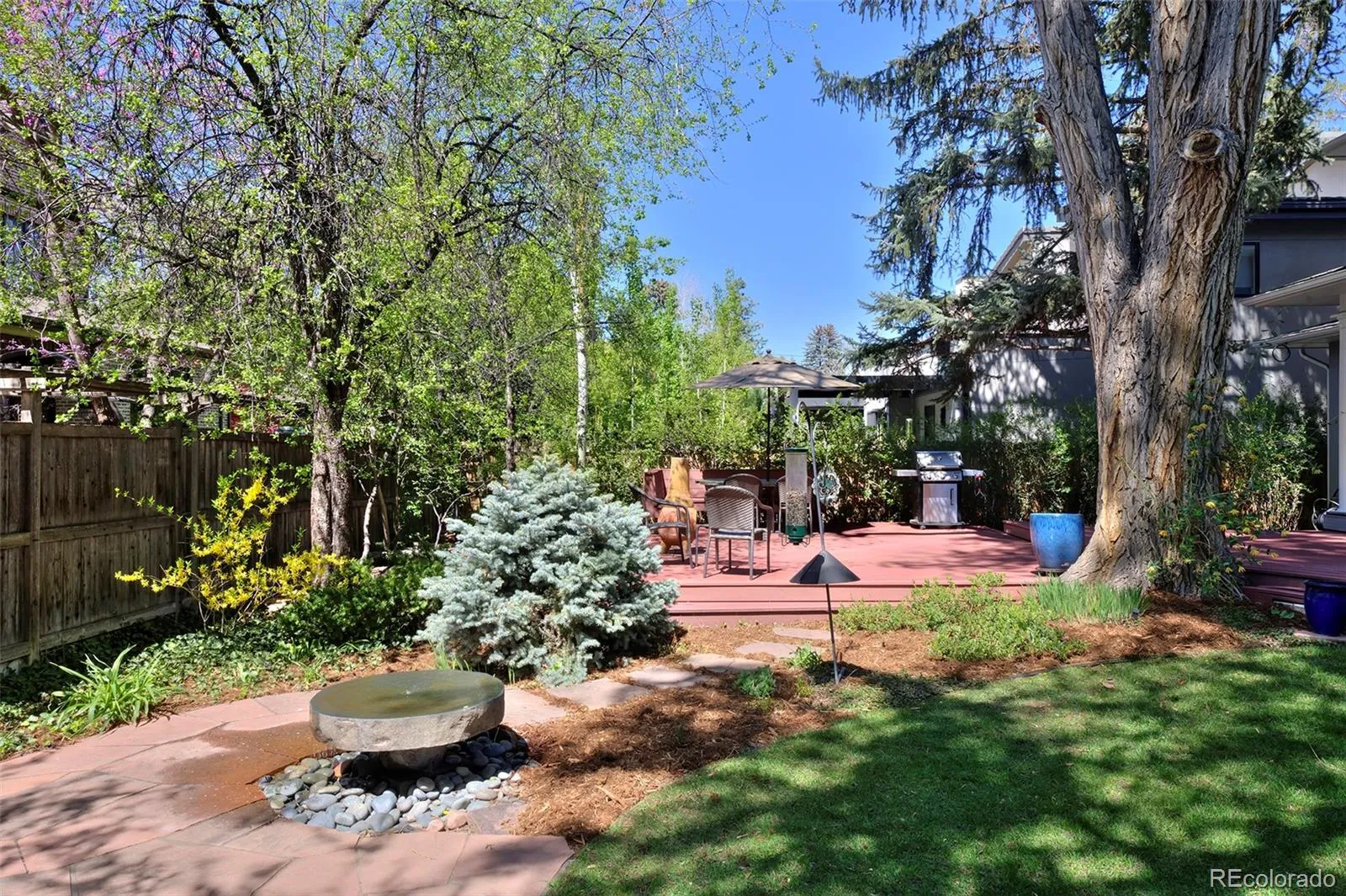 435 Forest Street Denver CO 80220 MLS #REC7906835 05142026212611 1600 46