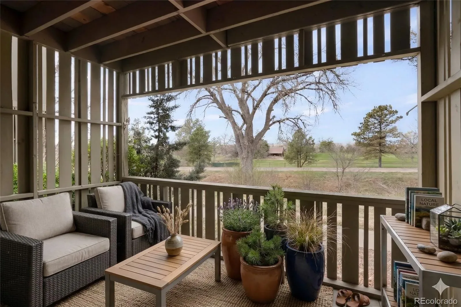 03262026010821 1600 0