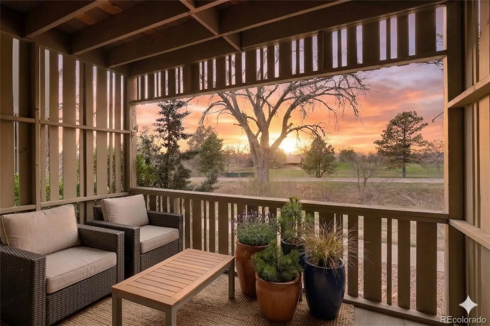 03262026010821 1600 16