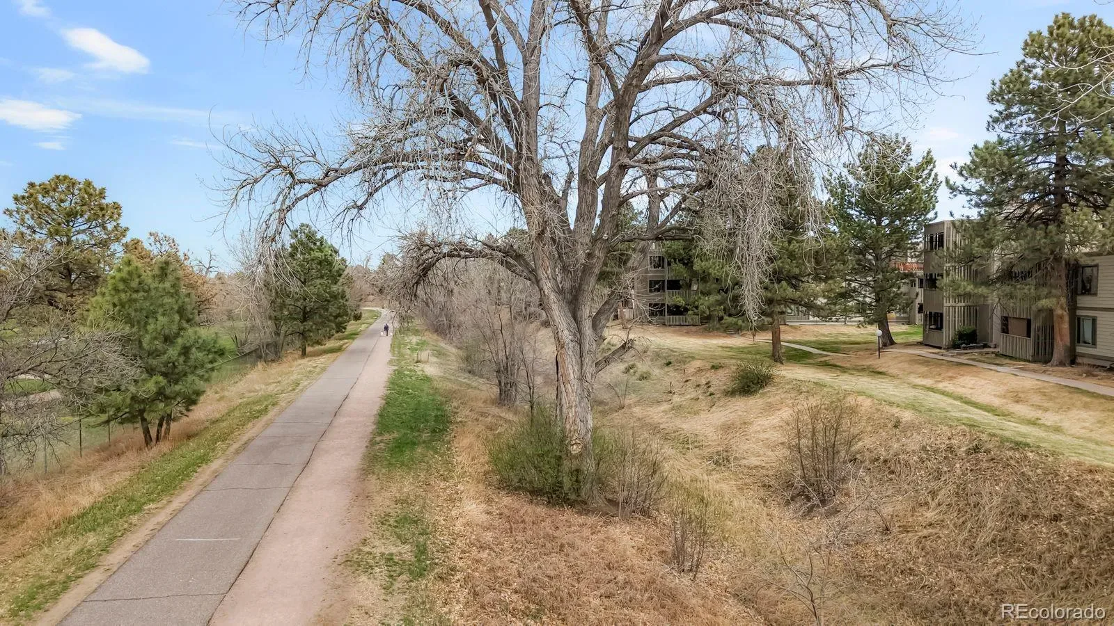 03262026010821 1600 17