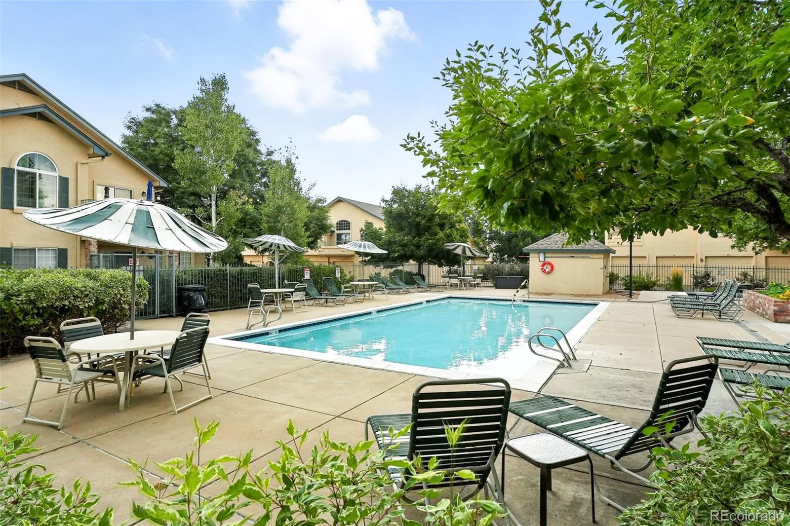 8671 E Dry Creek Road #721 Englewood CO 80112 | MLS #REC7913752 08202026154352 1600 21