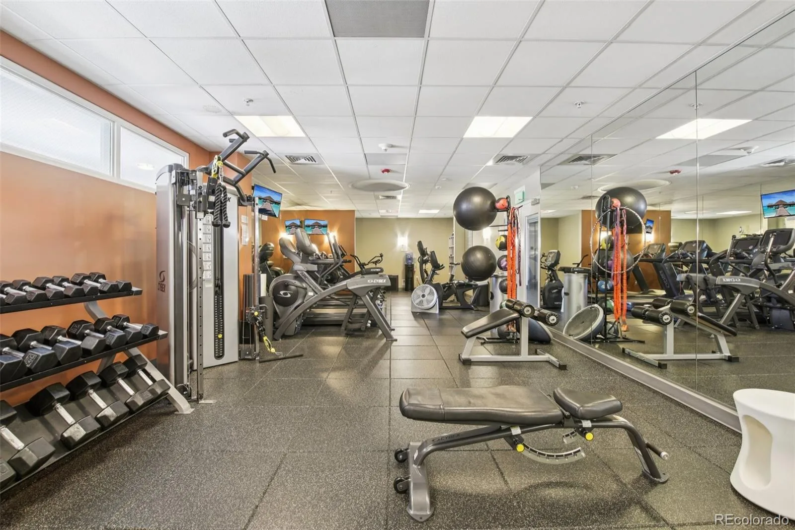 410 Acoma Street #206 Denver CO 80204 MLS #REC7917208 07072026141539 1600 44