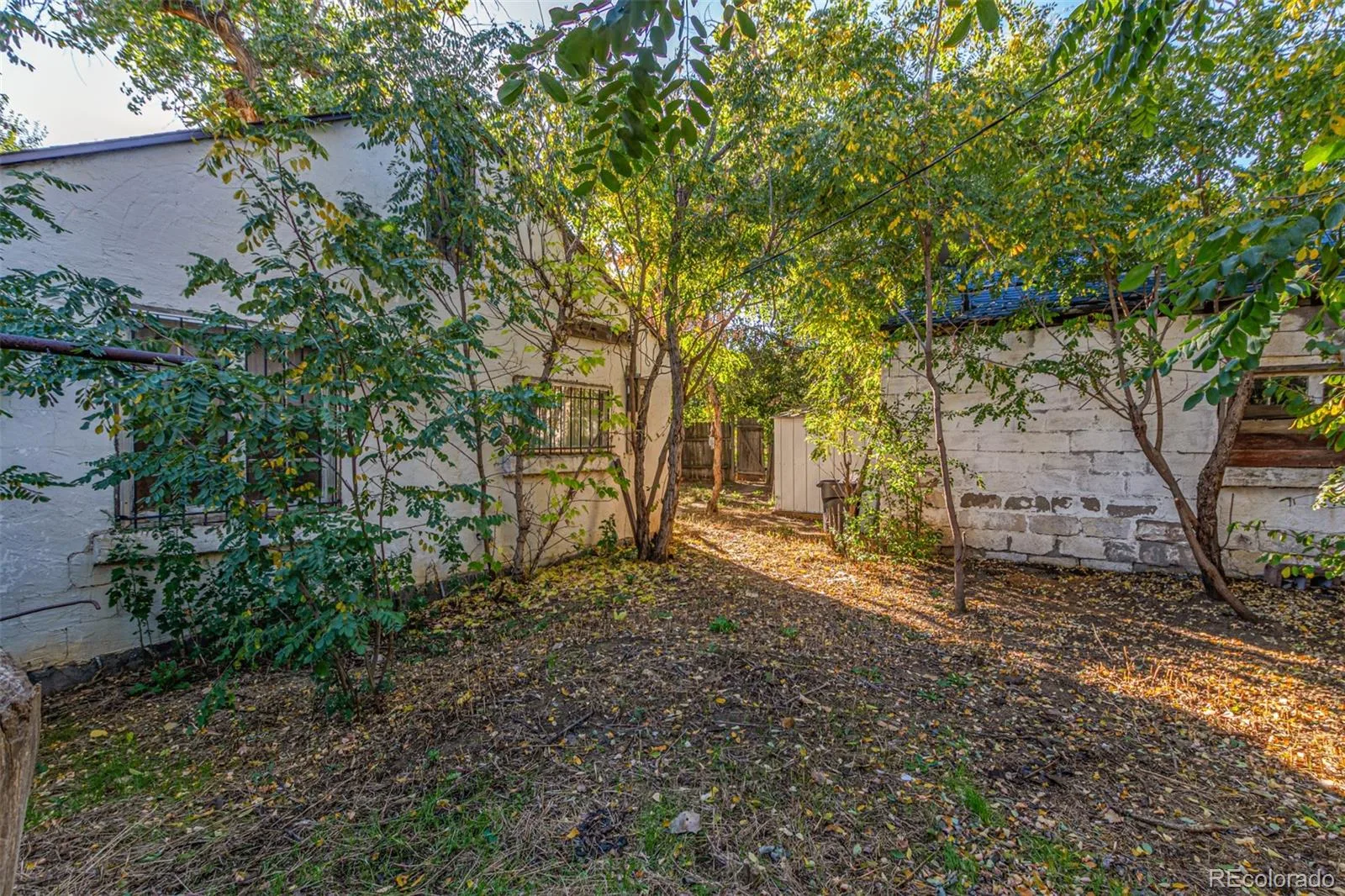 1209 Alton Street Aurora CO 80010 | MLS #REC7918211 09282026182851 1600 20