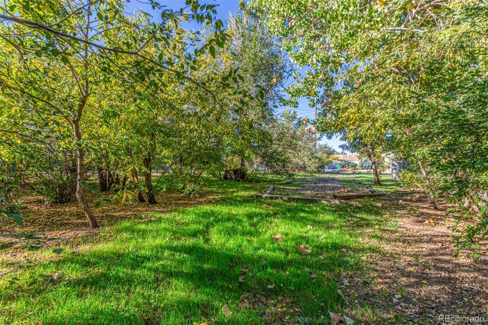 1209 Alton Street Aurora CO 80010 | MLS #REC7918211 09282026182851 1600 23