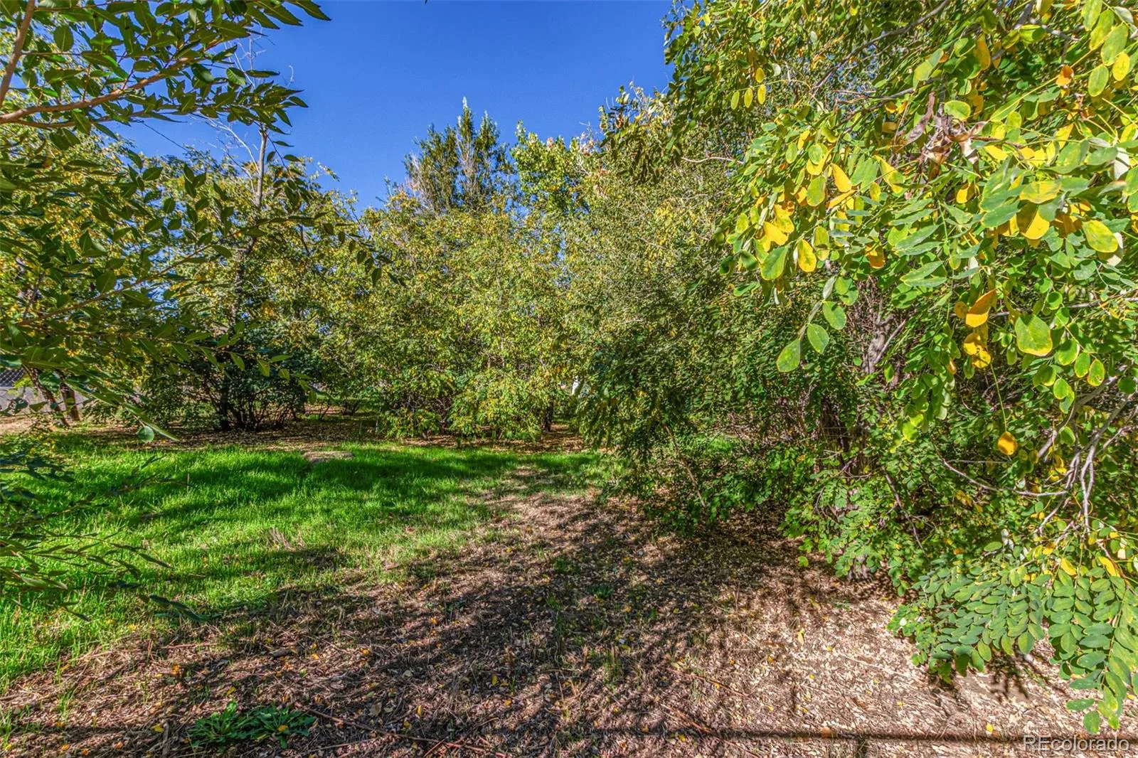1209 Alton Street Aurora CO 80010 | MLS #REC7918211 09282026182851 1600 26