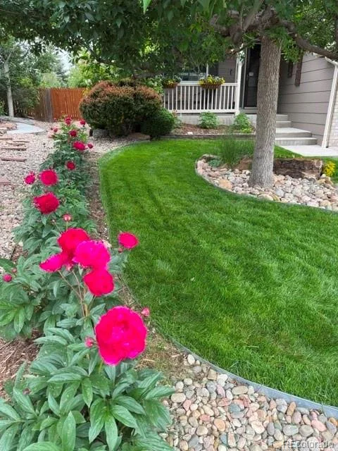 4270 Deer Watch Drive Castle Rock CO 80104 | MLS #REC7924346 08032026151717 480 45