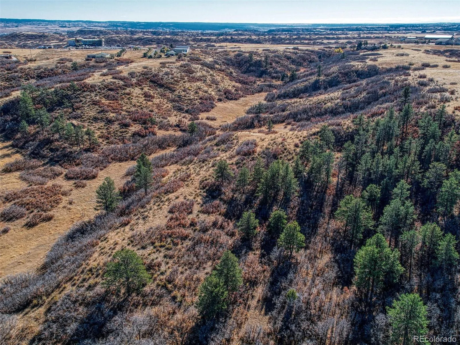 5053 N Crowfoot Valley Road Castle Rock CO 80108 | MLS #REC7924849 04102026161231 1600 12