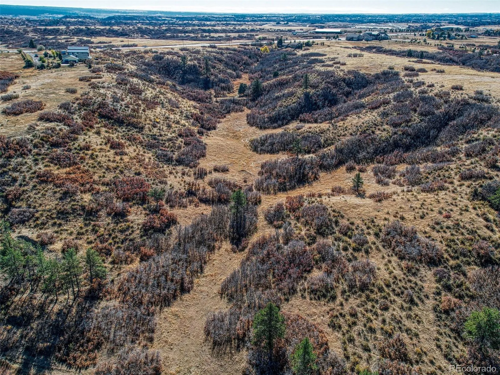 5053 N Crowfoot Valley Road Castle Rock CO 80108 | MLS #REC7924849 04102026161231 1600 14