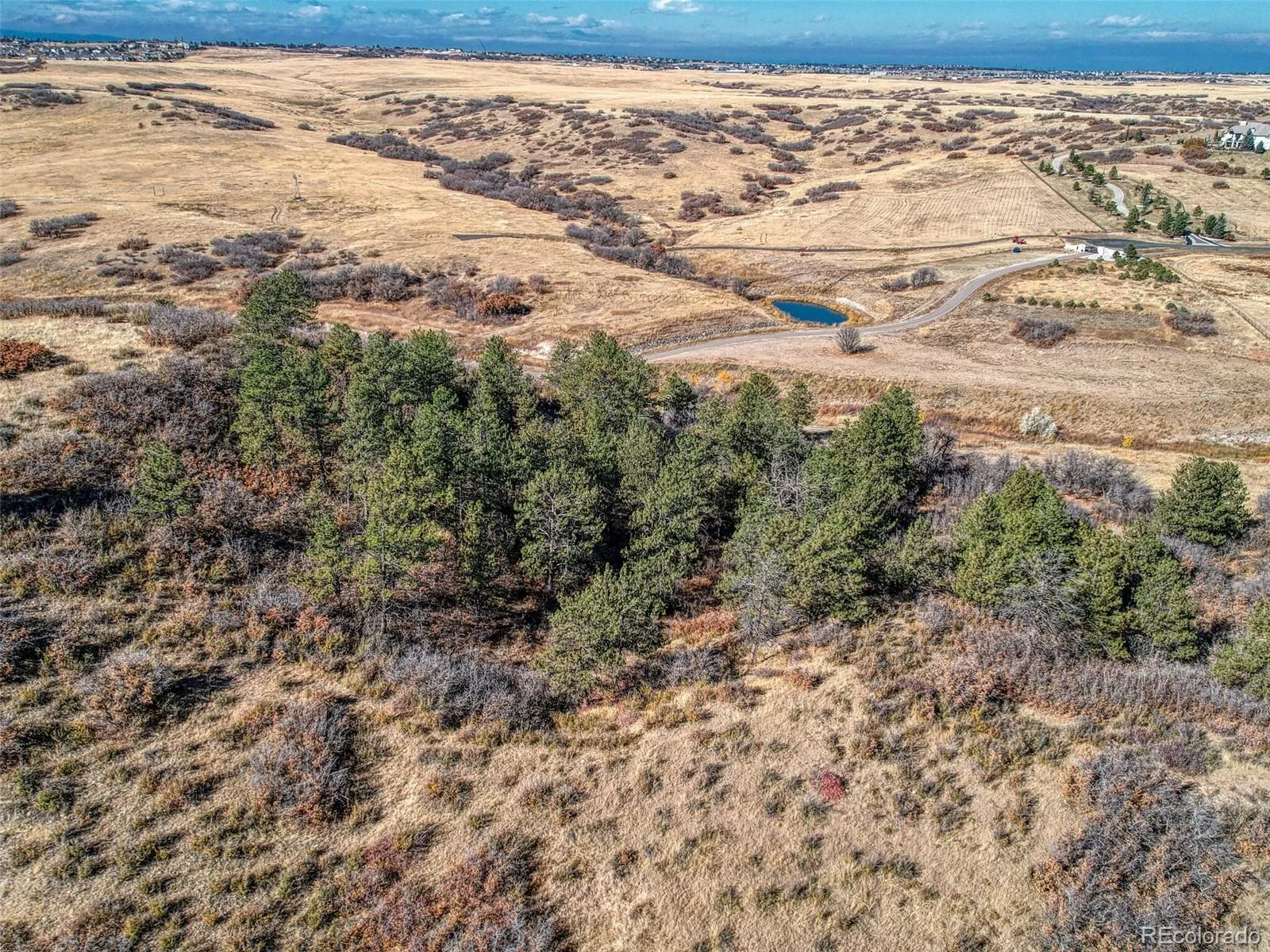 5053 N Crowfoot Valley Road Castle Rock CO 80108 | MLS #REC7924849 04102026161231 1600 25
