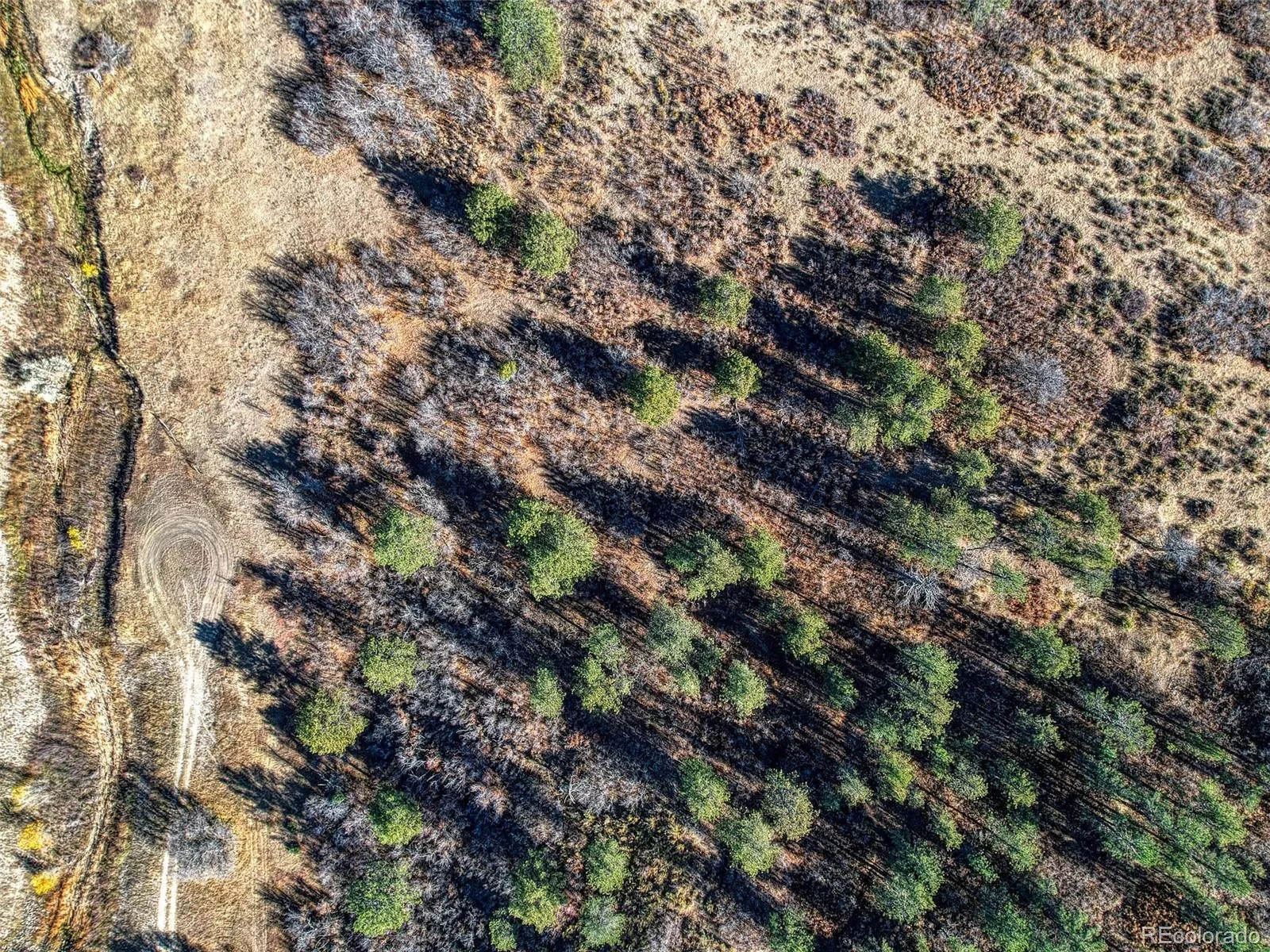 5053 N Crowfoot Valley Road Castle Rock CO 80108 | MLS #REC7924849 04102026161231 1600 29