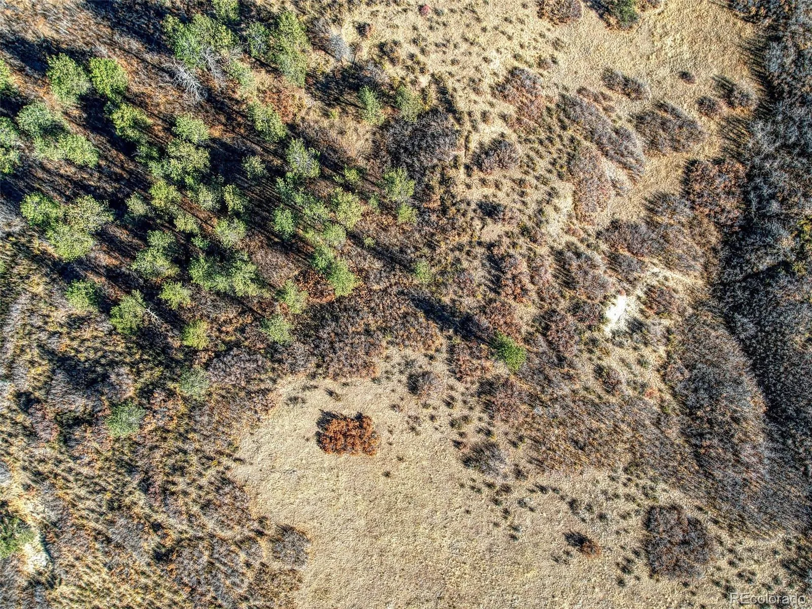 5053 N Crowfoot Valley Road Castle Rock CO 80108 | MLS #REC7924849 04102026161231 1600 33