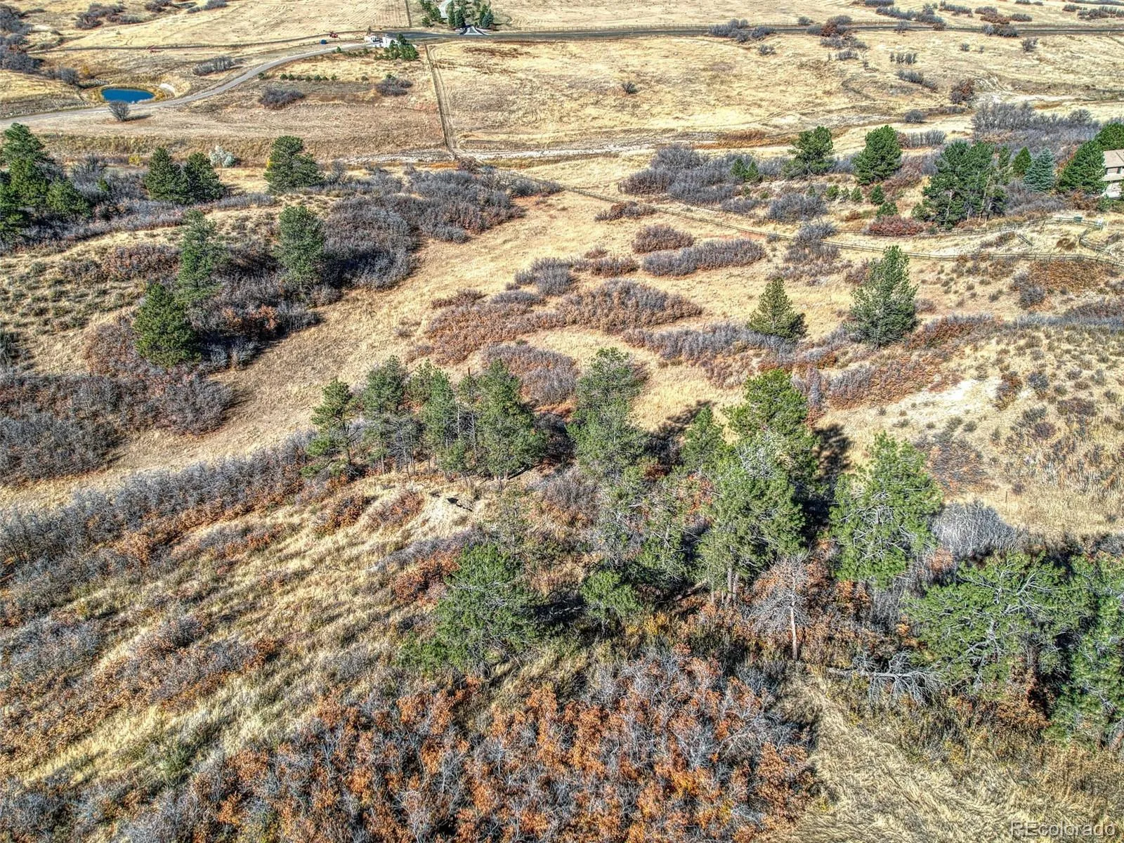 5053 N Crowfoot Valley Road Castle Rock CO 80108 | MLS #REC7924849 04102026161231 1600 6