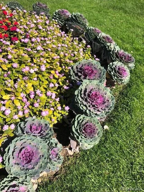 9360 E Center Avenue #11C Denver CO 80247 | MLS #REC7933194 08072026212753 480 45