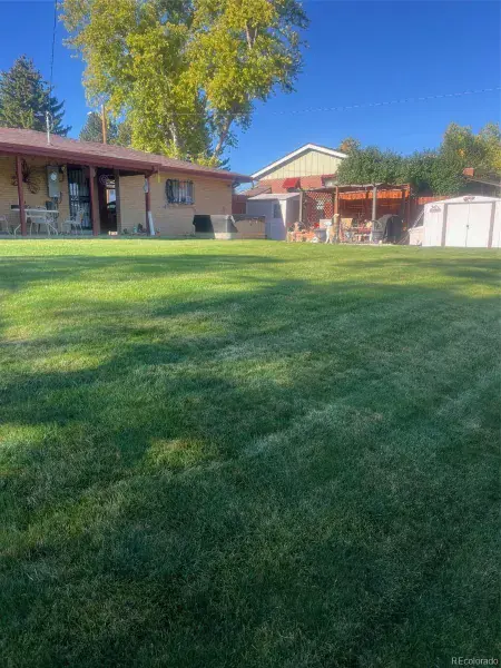 03052026195940 800 29