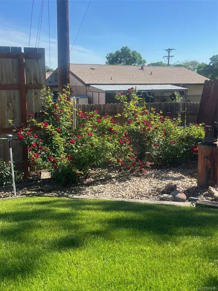 03052026195940 800 30