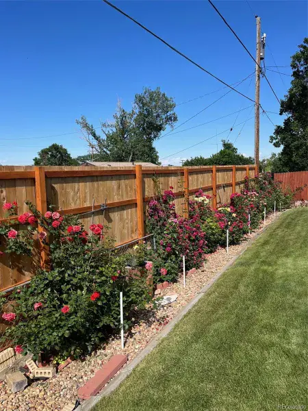 03052026195940 800 31