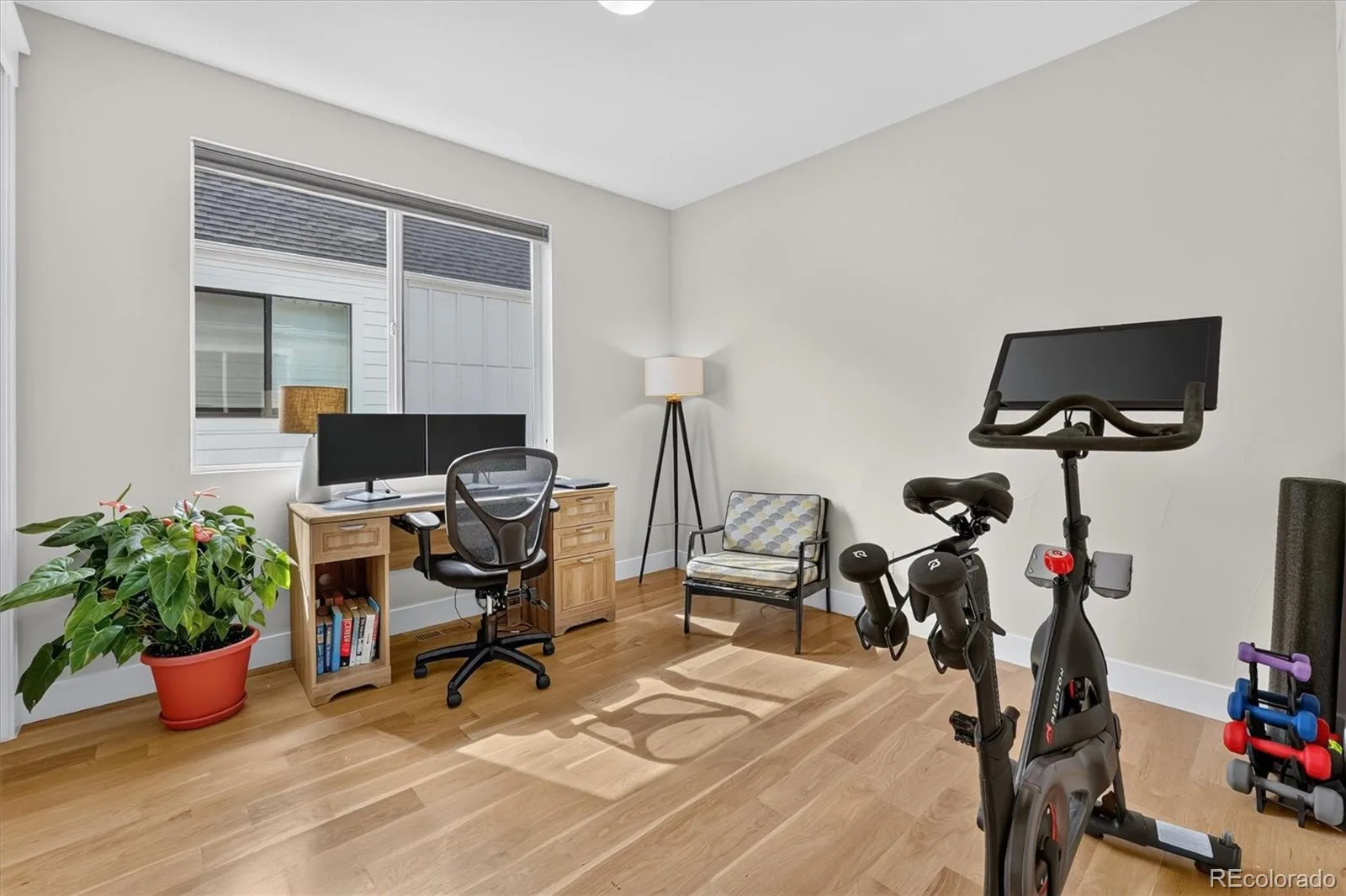 3316 Ames Street Denver CO 80212 | MLS #REC7938551 10022026165430 1600 31