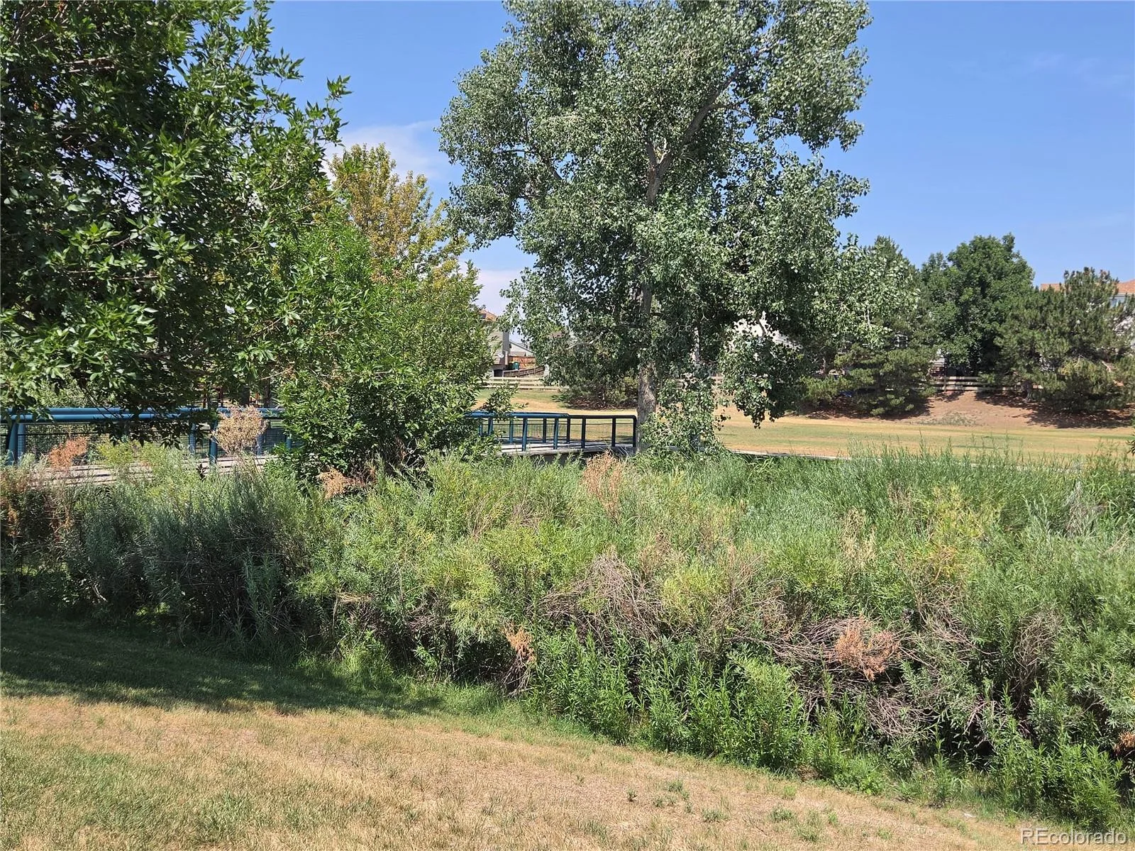21288 E Powers Place Aurora CO 80015 | MLS #REC7942436 08052026193342 1600 29