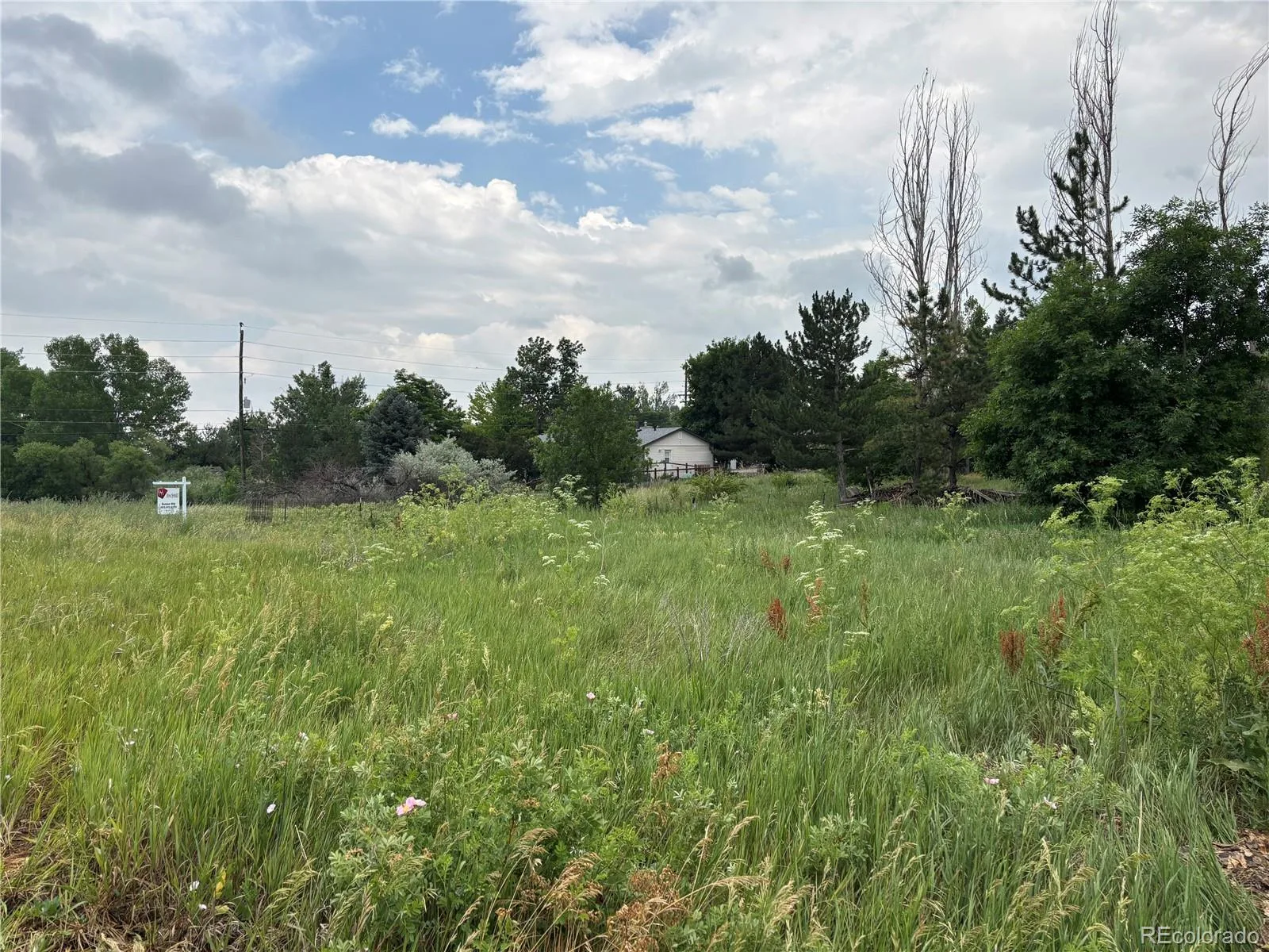 7873 S Carr Court Littleton CO 80128 | MLS #REC7946492 07042026214238 1600 3