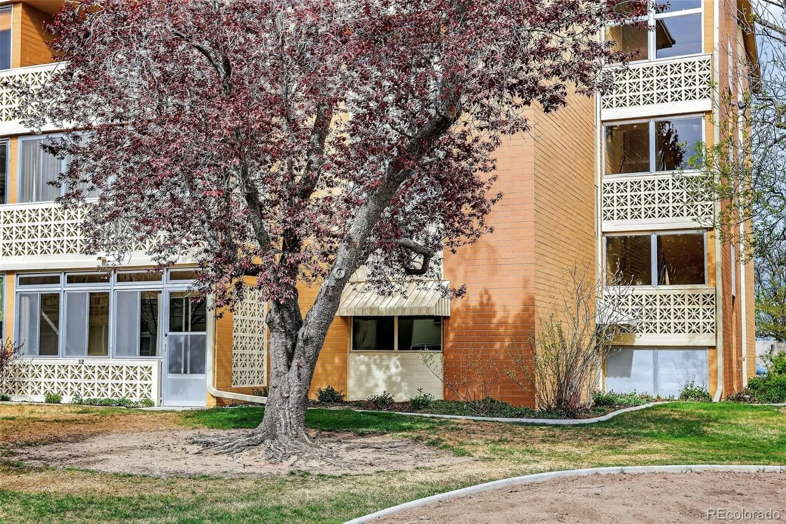 9150 E Center Avenue #12A Denver CO 80247 MLS #REC7947441 04102026203732 1600 1