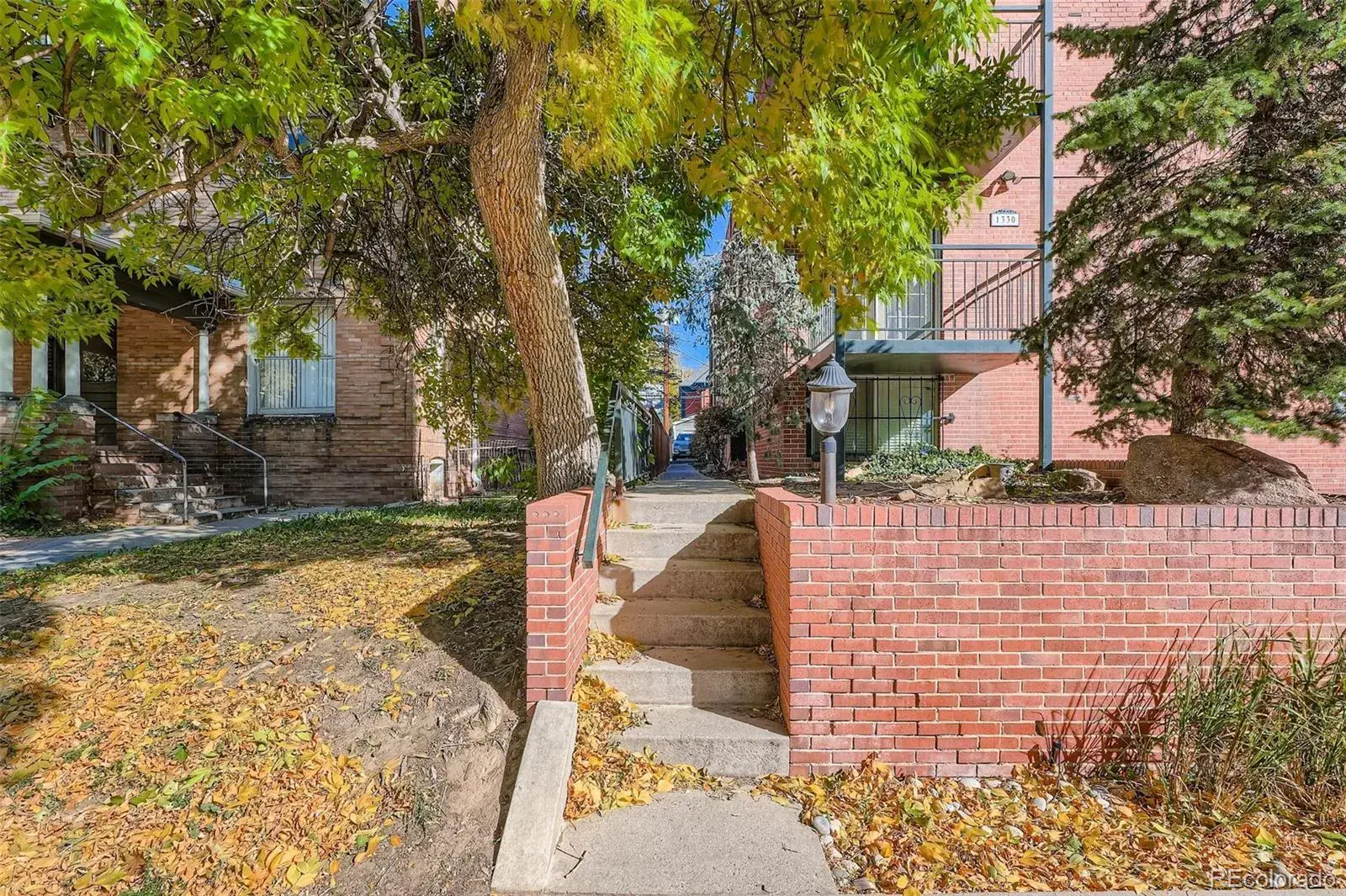 1330 Race Street #3 Denver CO 80206 MLS #REC7951839 10272025005210 1600 3