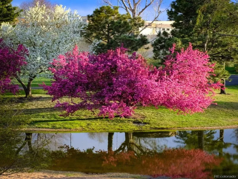 04172026022124 800 0