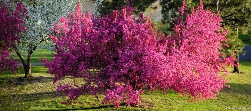 04172026022124 800 43