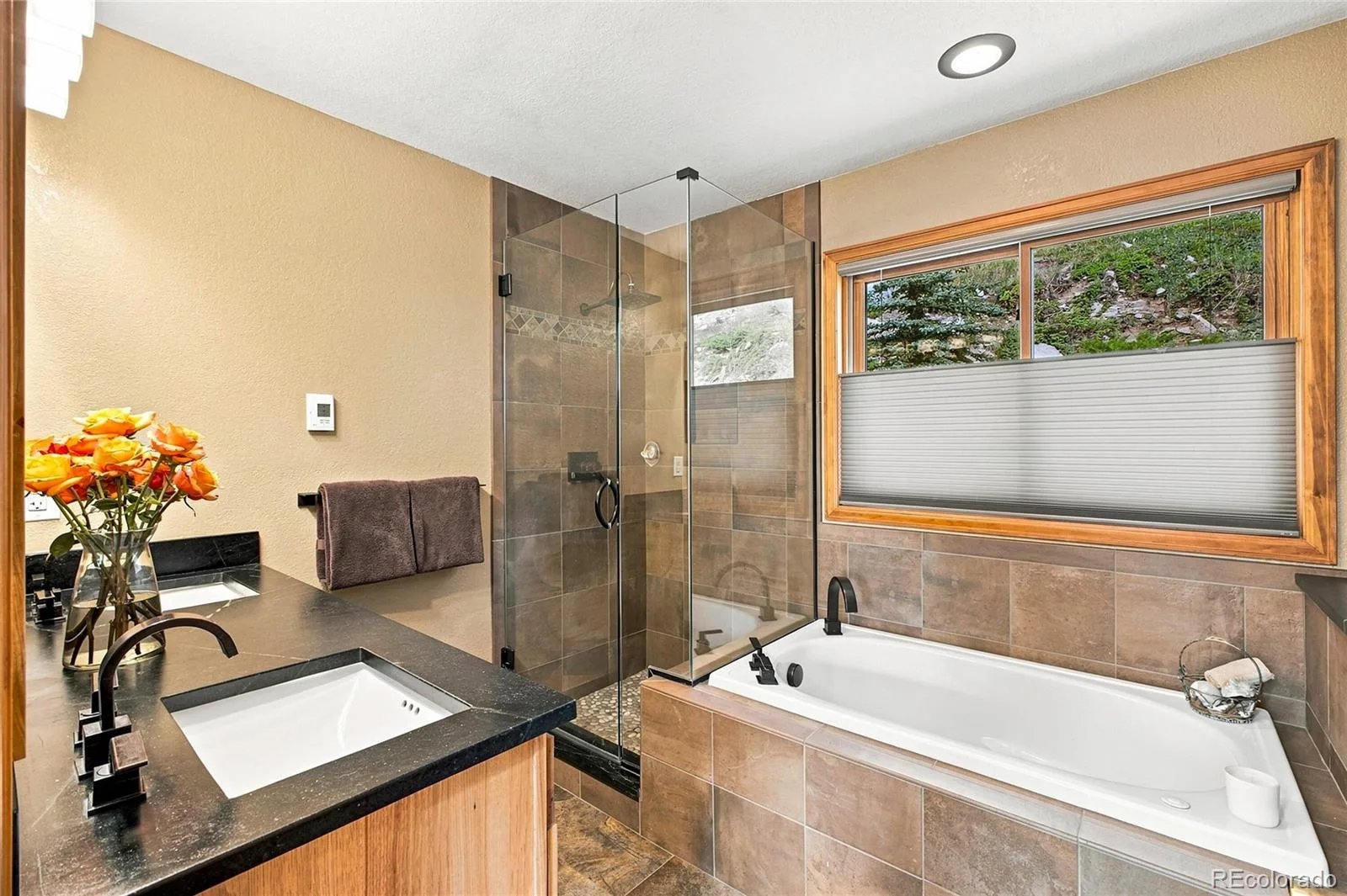 160 Meadowlark Drive Evergreen CO 80439 | MLS #REC7963588 08282026164811 1600 11