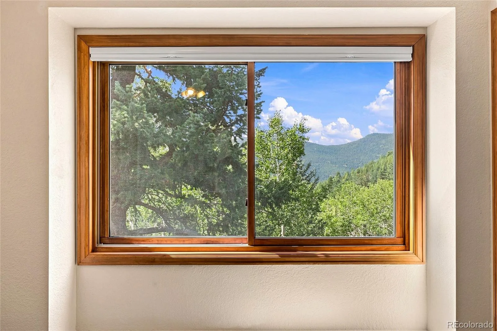 160 Meadowlark Drive Evergreen CO 80439 | MLS #REC7963588 08282026164811 1600 16