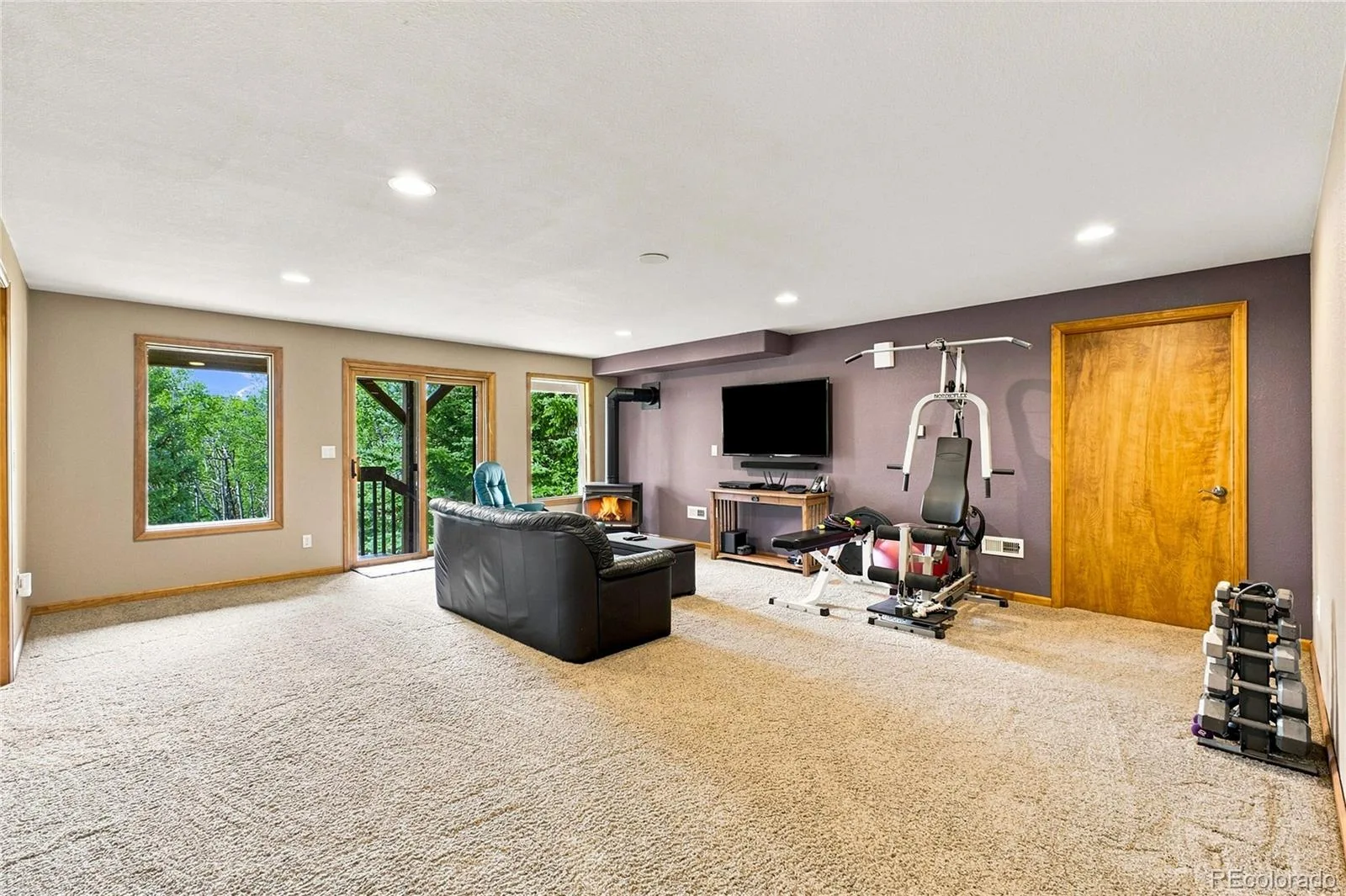 160 Meadowlark Drive Evergreen CO 80439 | MLS #REC7963588 08282026164811 1600 19