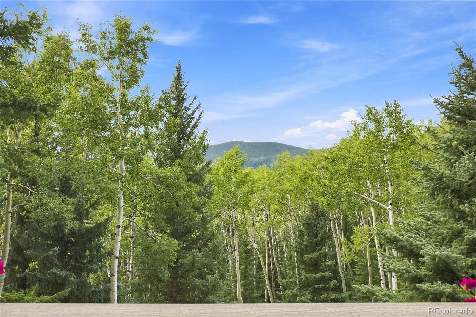 160 Meadowlark Drive Evergreen CO 80439 | MLS #REC7963588 08282026164811 1600 28