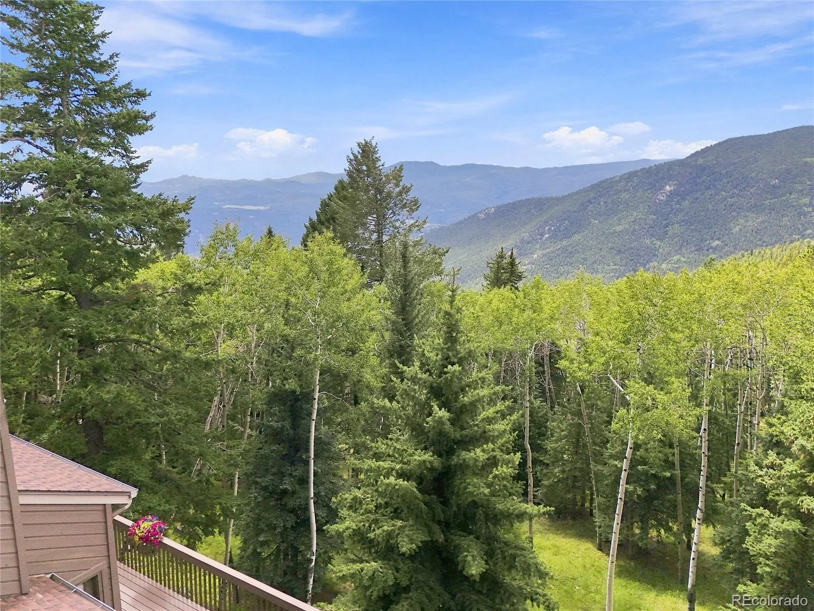 160 Meadowlark Drive Evergreen CO 80439 | MLS #REC7963588 08282026164811 1600 34