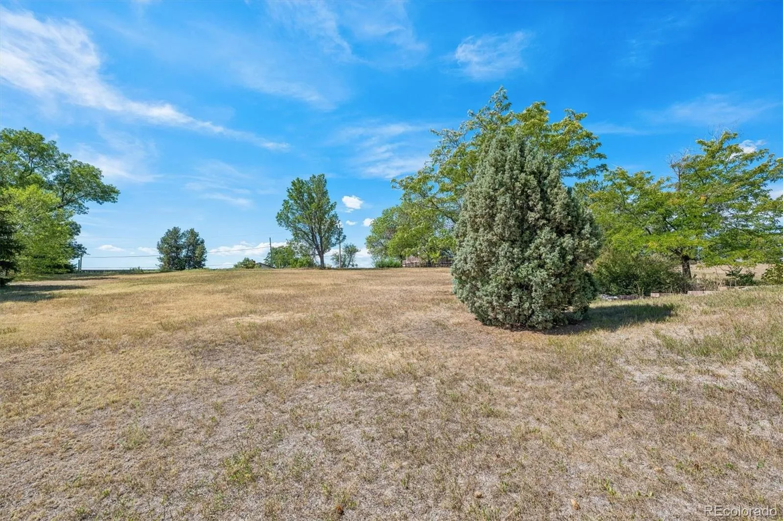 Alkire Street Arvada CO 80005 | MLS #REC7970392 08272026194619 1600 19