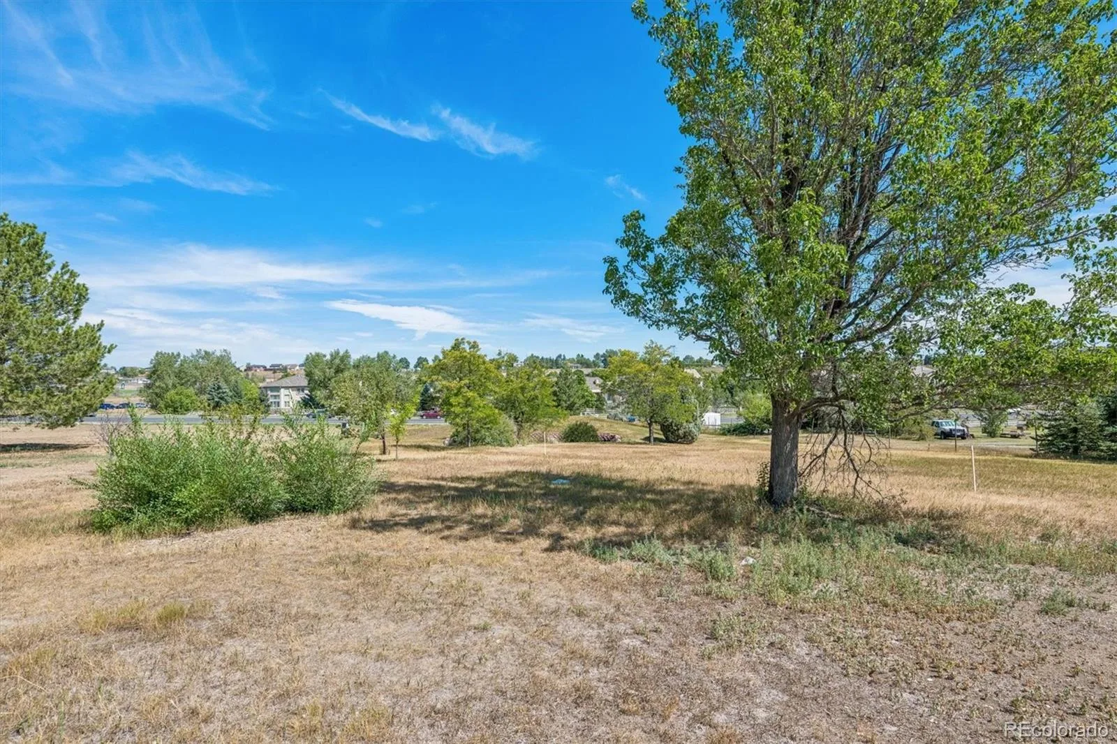 Alkire Street Arvada CO 80005 | MLS #REC7970392 08272026194619 1600 23