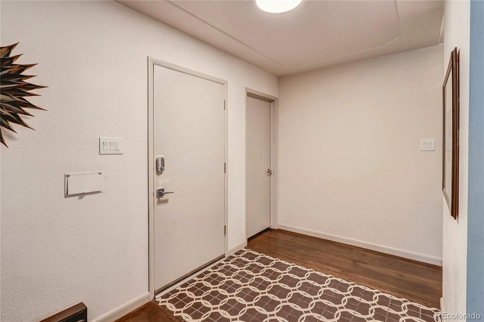 3532 S Eudora Way Denver CO 80237 | MLS #REC7973063 10152026213637 1600 8