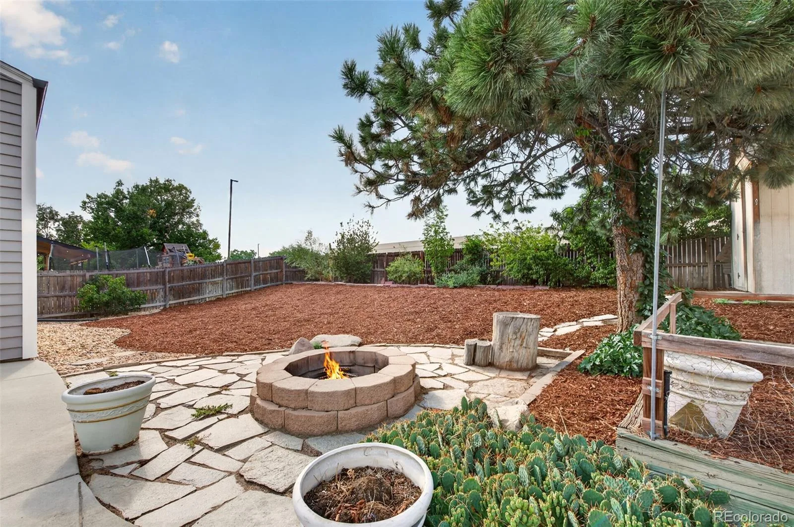 17855 Fringed Sage Way Parker CO 80134 | MLS #REC7976846 08132026151147 1600 28