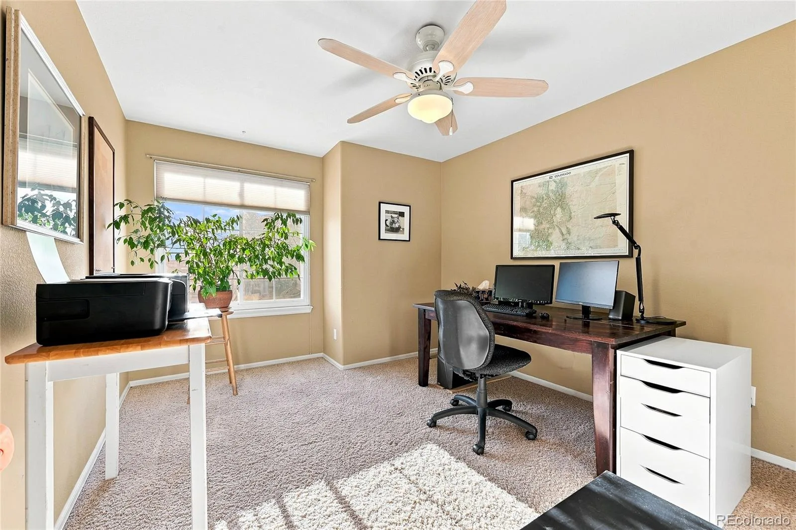 1515 Short Grass Court Castle Rock CO 80109 MLS #REC7978680 07242026205623 1600 19