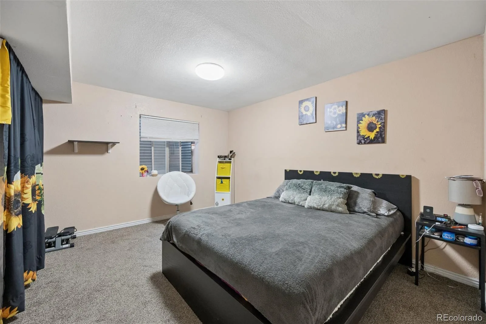 1869 Fraser Court Aurora CO 80011 | MLS #REC7989639 10072026133659 1600 25