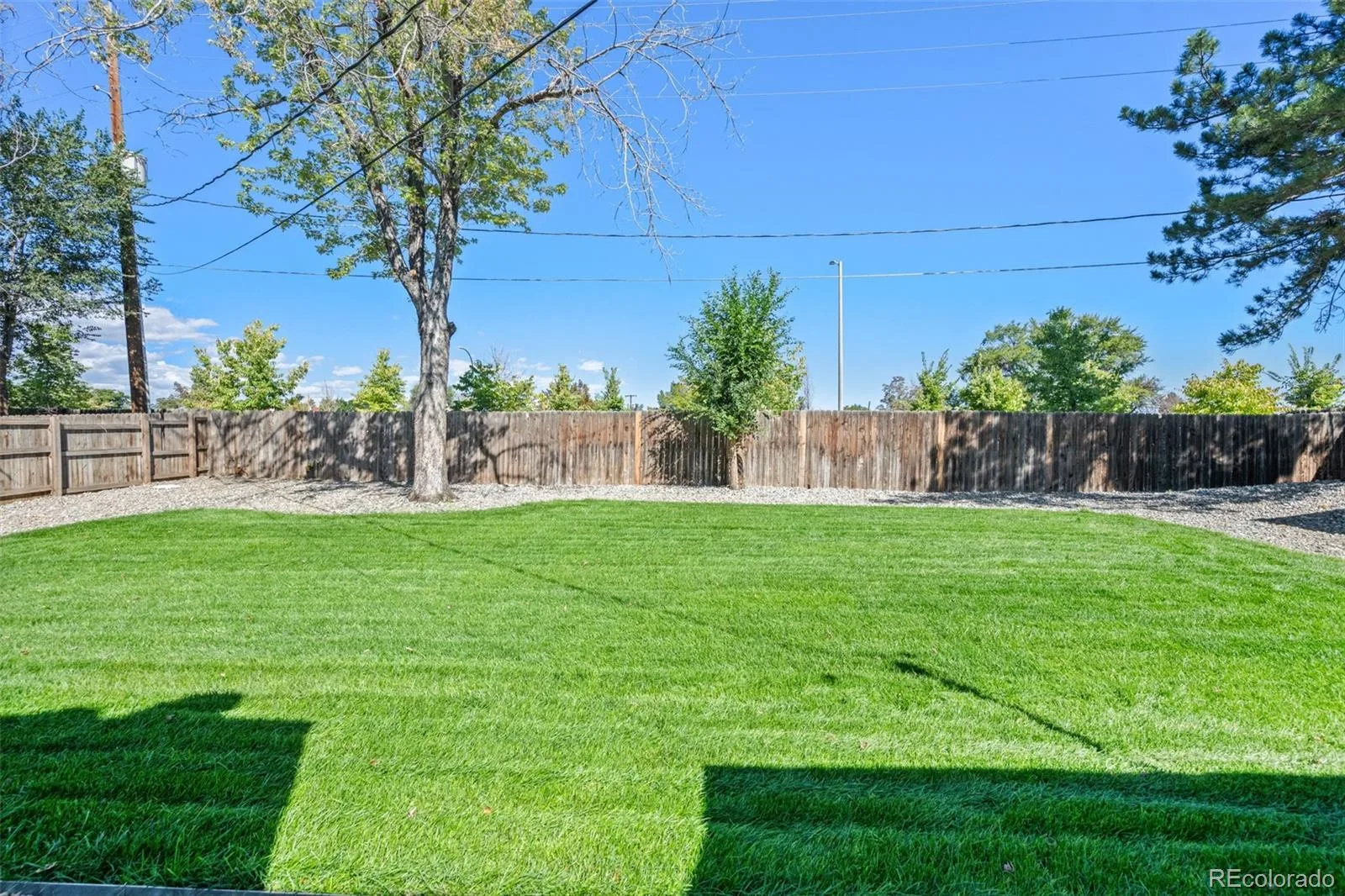 300 S Kendall Street Denver CO 80226 | MLS #REC8003207 09242026181819 1600 38