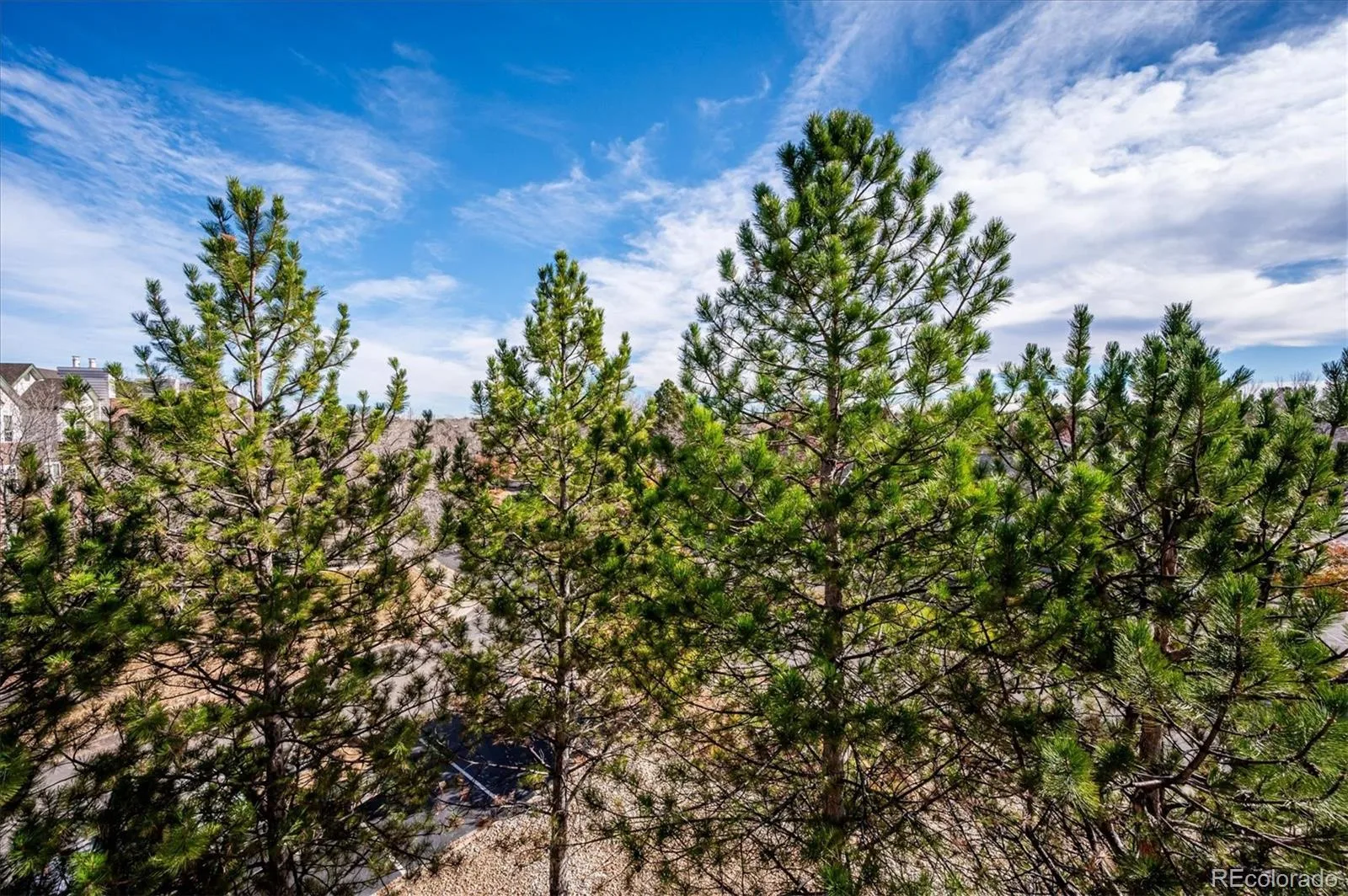 2896 W Riverwalk Circle #A304 Littleton CO 80123 | MLS #REC8004093 08052026181744 1600 13