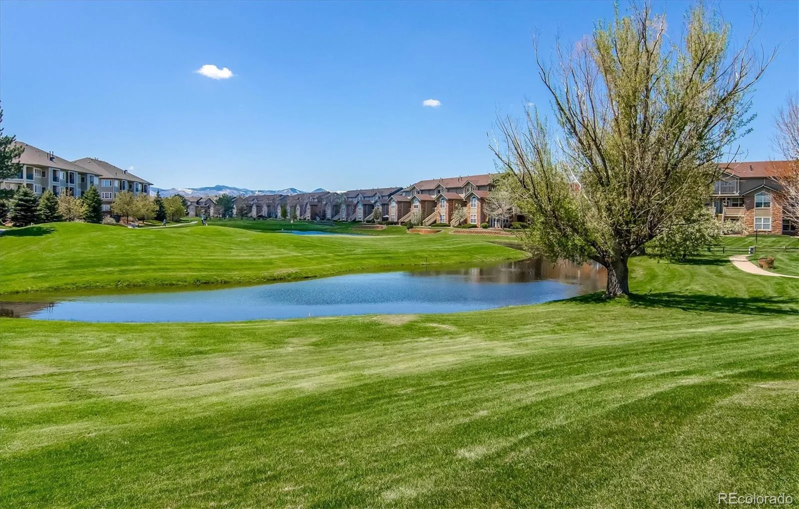 2896 W Riverwalk Circle #A304 Littleton CO 80123 | MLS #REC8004093 08052026181744 1600 41