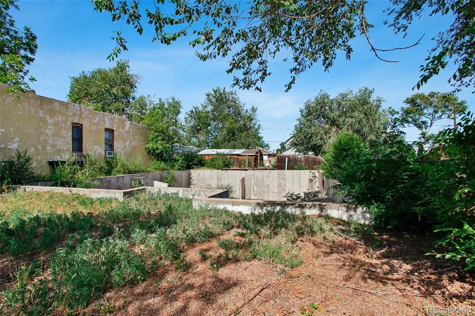 3815 N Madison Street Denver CO 80205 | MLS #REC8017090 06202026000935 1600 2