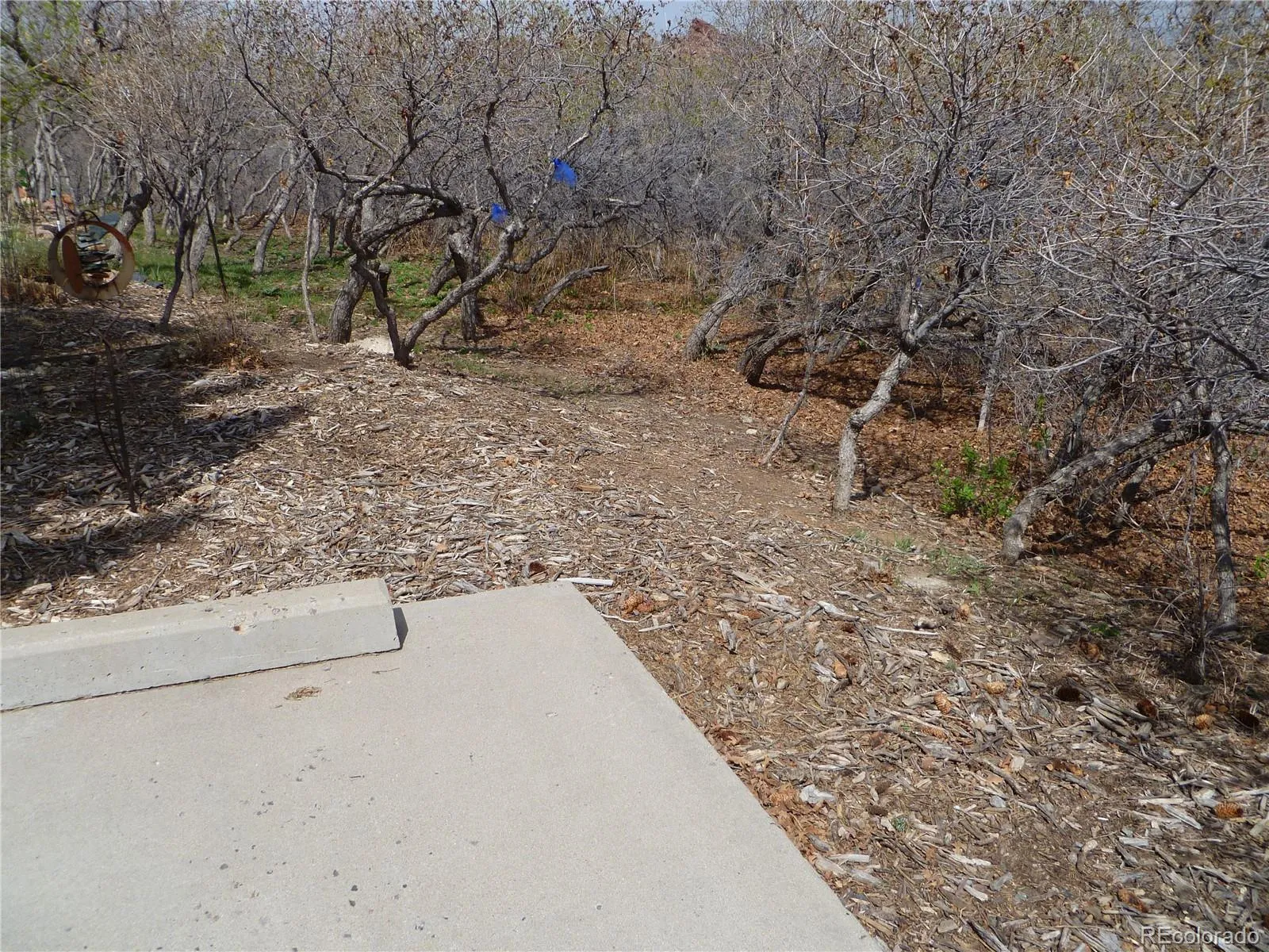 10551 Harebell Run Littleton CO 80125 | MLS #REC8021379 04012026174036 1600 13