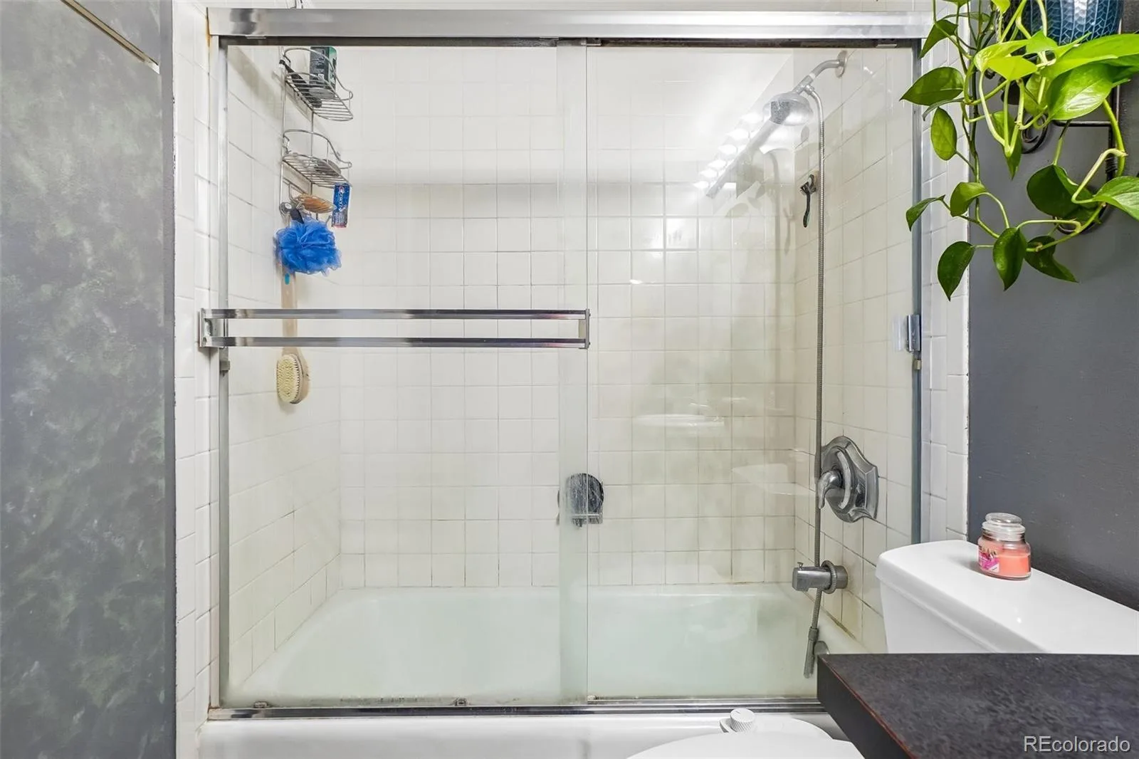 1313 N Williams Street #405 Denver CO 80218 | MLS #REC8022764 09252026025633 1600 23